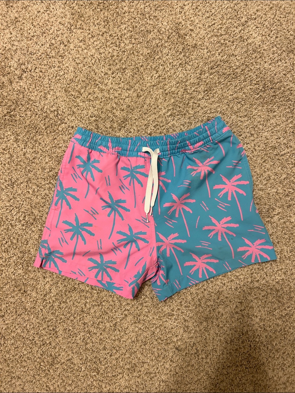 Boys Chubbies Swim Trunks